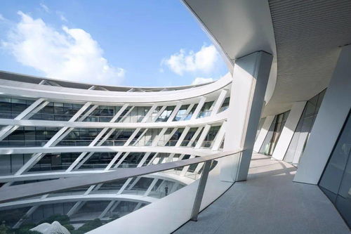 本土服裝崛起,總部空間的時髦轉型